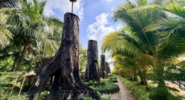 'Bảo tàng' gỗ lũa giữa dòng sông Tiền