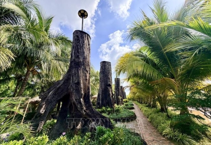 'Bảo tàng' gỗ lũa giữa dòng sông Tiền